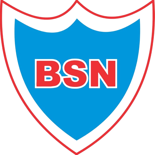 cropped-cropped-BSN_logo-removebg-preview.png